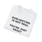 Gaslighting Is Not Real T-Shirt